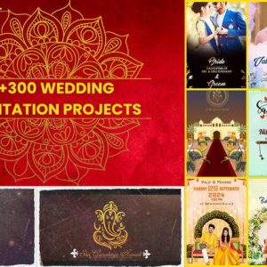 300+ WEDDING INVITATION PROJECTS OF 2024